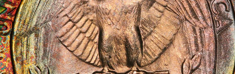 Market 101: All About Eye Appeal